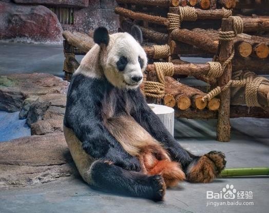 “辣味之乡”东莞有哪些好玩的地方?