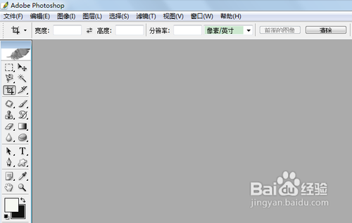 【PS】怎样使用自由钢笔工具描图