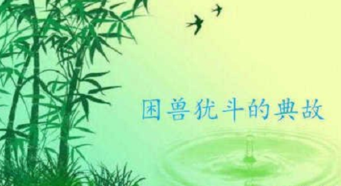 有困兽的成语
