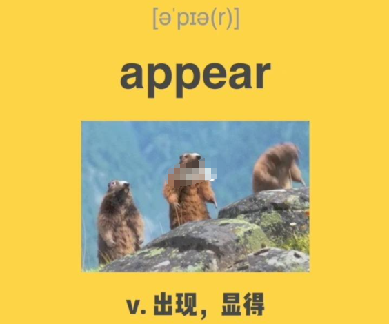 appear on和appear of的区别是什么