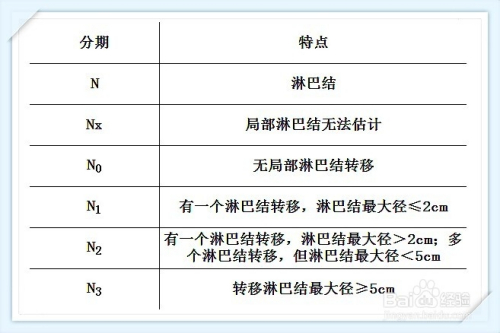 膀胱癌临床分期(tnm分期)