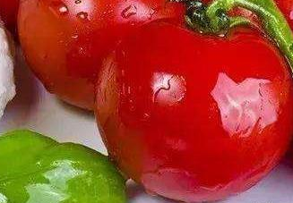<b>怎样区分西红柿是否打了农药</b>