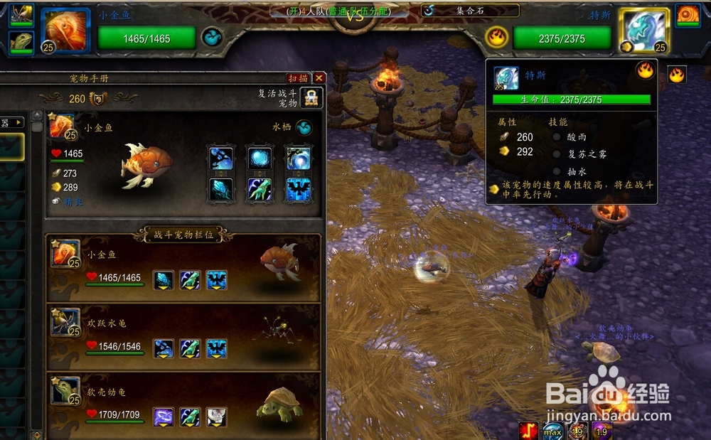 WOW要塞宠物日常：特斯&菲罗