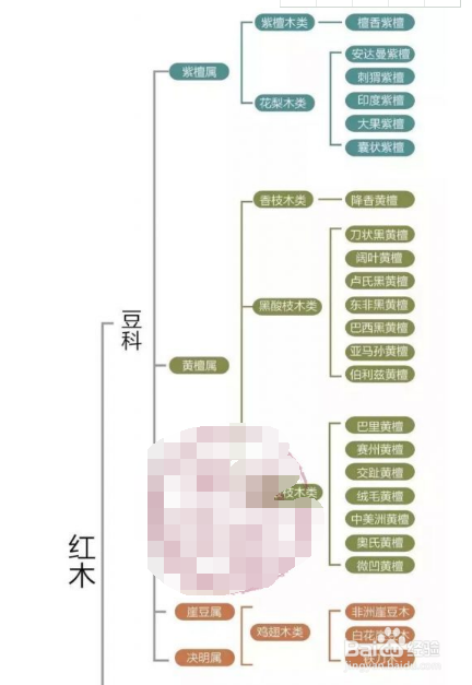 刺猬紫檀怎么鉴别