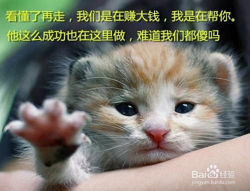 亲身经历教大家识别传销,逃脱传销