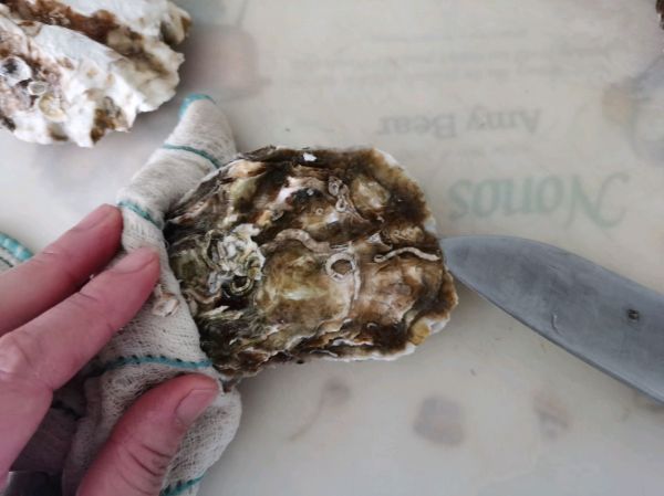 蒜泥魔芋烤生蚝