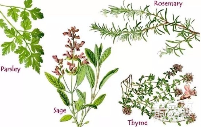 做面包、蛋糕、饼干需要什么食材呢?