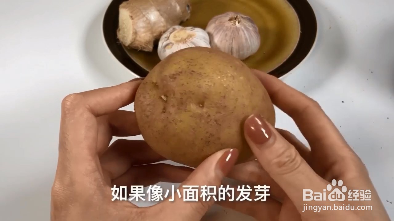 土豆发芽千万别乱吃，快来看看有什么需要注意的