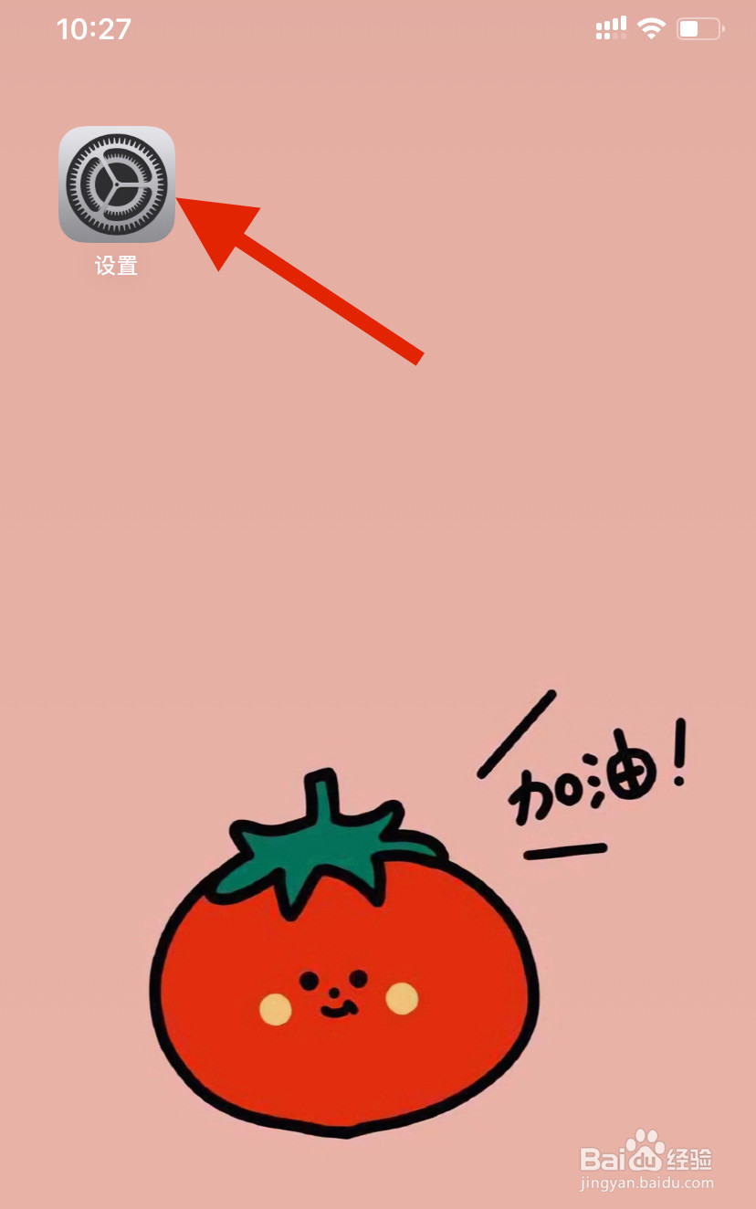 iPhone手机怎么开启经典反转