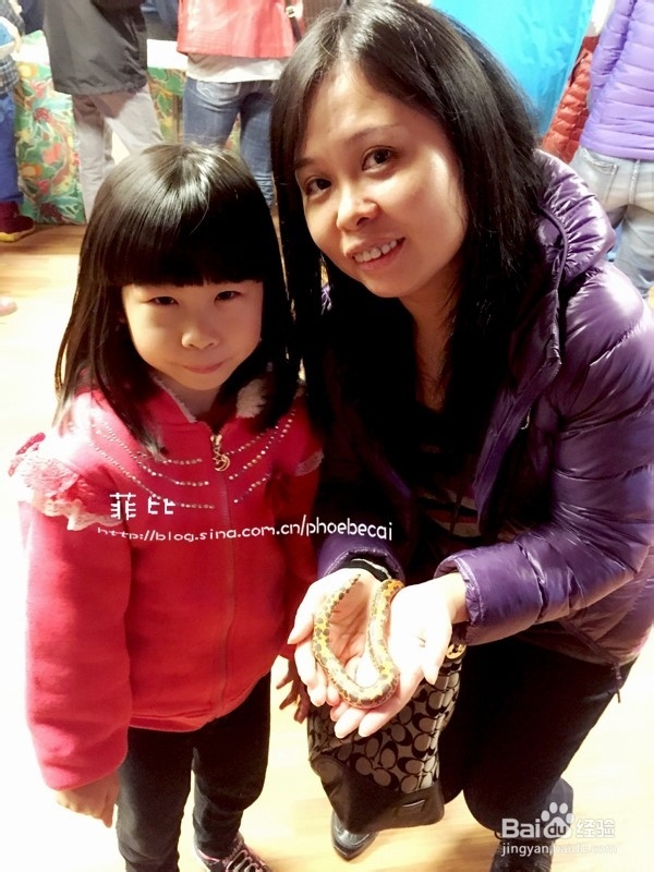 温哥华自然公园珍奇爬行动物展