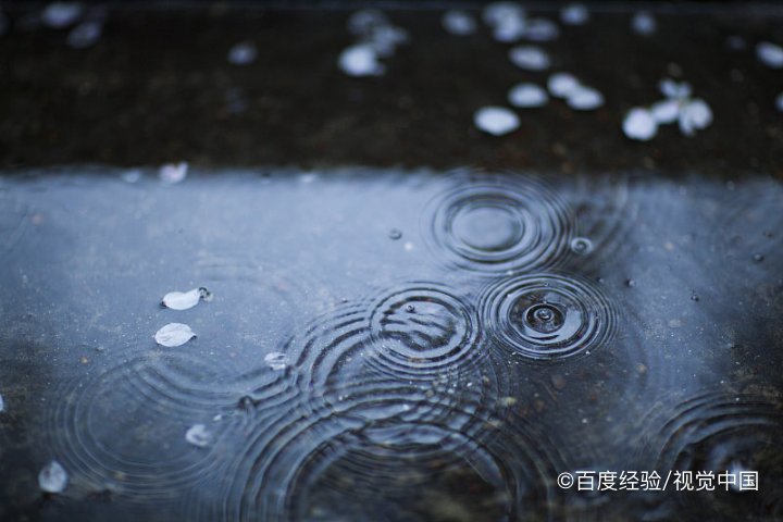 雨水收集后怎么保存浇花