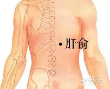 如何照顾自己的肝脏