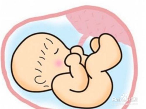 怎么预测胎宝宝的容貌？