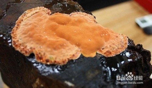秋季养生的食物有哪些？秋天养生吃什么最好？