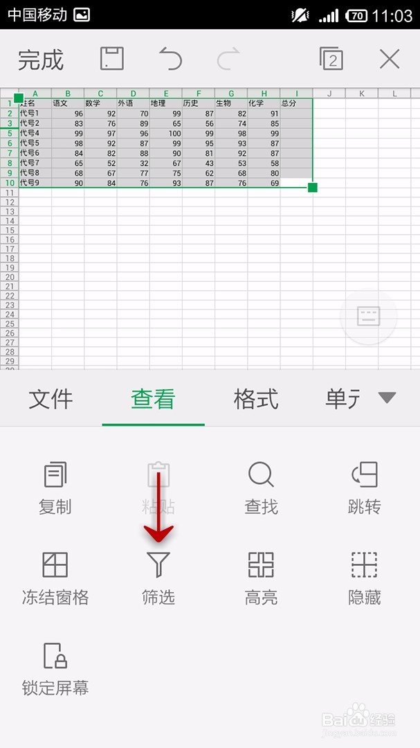 手机WPS Office表格如何使用筛选功能
