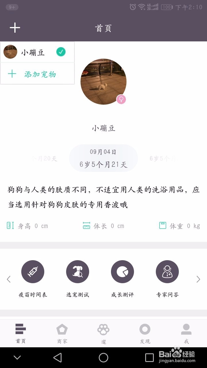 爱喂养教你新手养宠秘籍——小白养宠疫苗篇