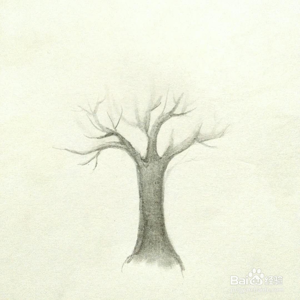 怎样画一颗树？