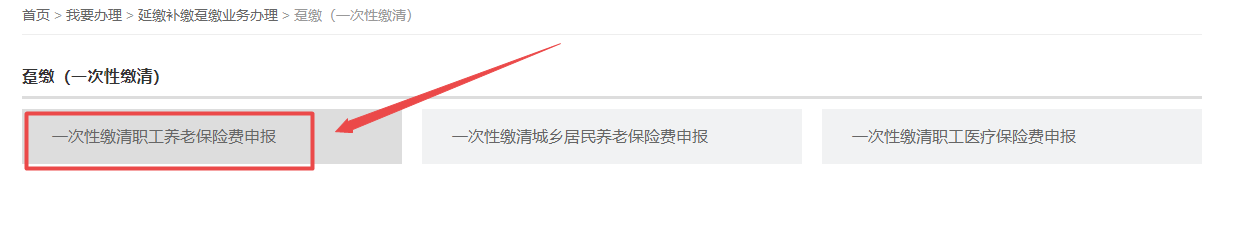 如何在网上申报一次性趸缴职工养老保险费
