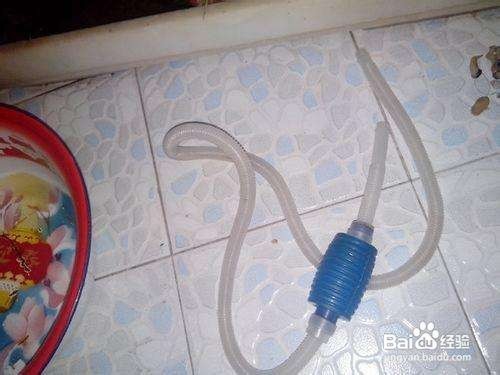 鱼缸出现了螺怎么办