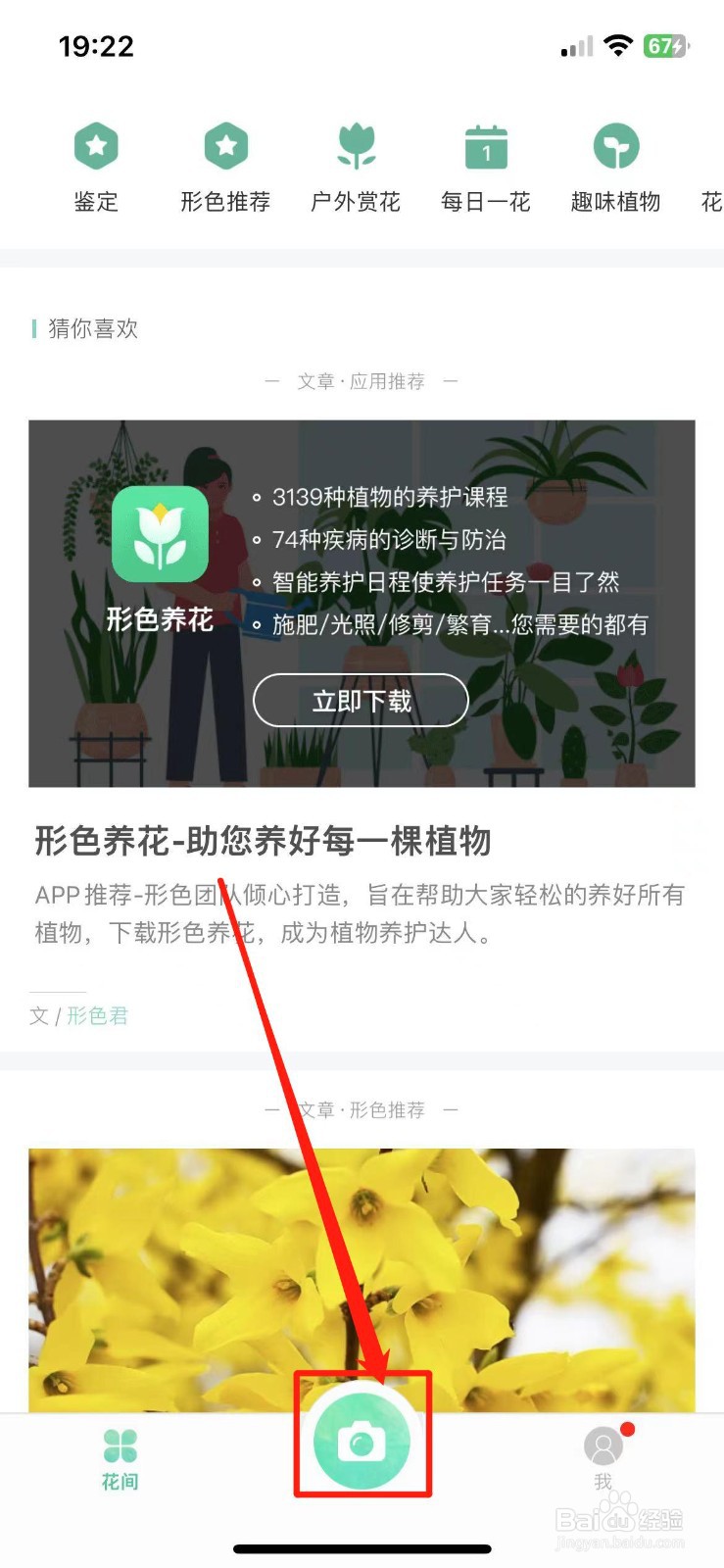 形色怎样识别花