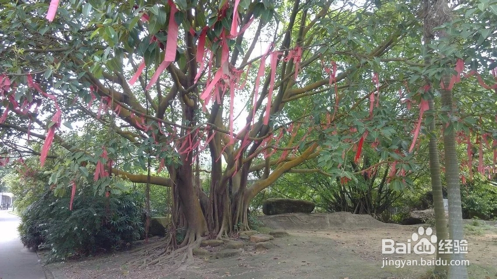 领略不同国家的构造设计--中山影视城