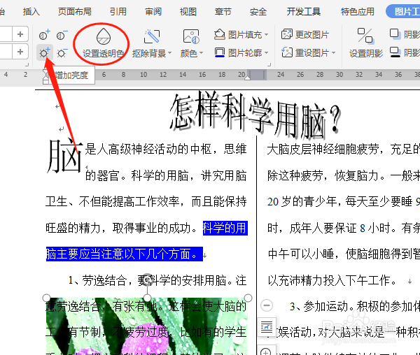 Word怎样调整图片的透明度