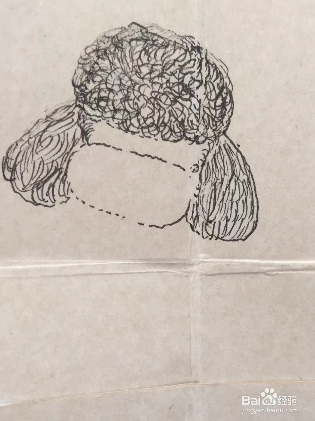 彩铅画教程之萌宠泰迪犬