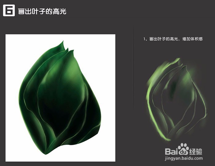 绿色植物肤品主题海报PS制作操作步骤