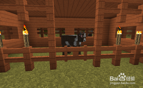 Minecraft我的世界牛怎么驯服牛怎么繁殖和挤奶 百度经验
