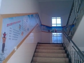 学生在校中遇到地震怎么办