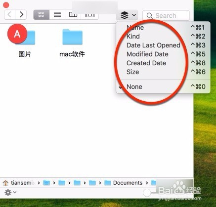 File Cabinet Pro for Mac怎么用教程