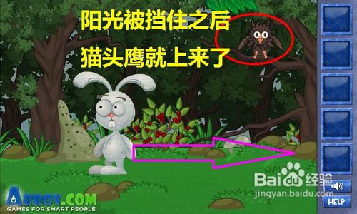 在线小游戏:聪明的兔子-猫头鹰关通关攻略