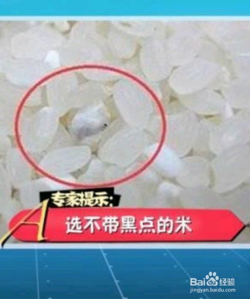 如何鉴别大米好坏