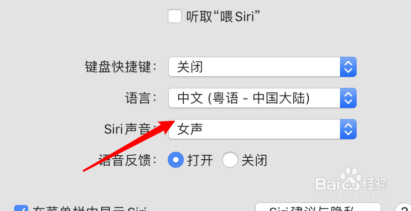 mac电脑怎么设置使用粤语来和语音助手交互