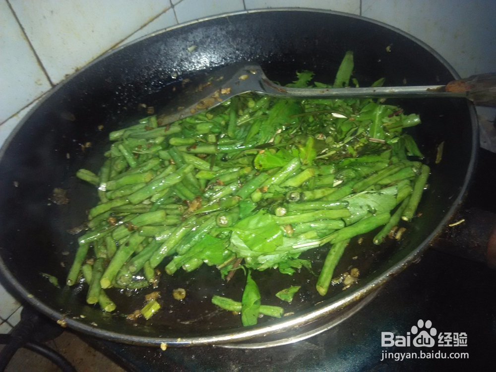 长豆角炒婆婆丁