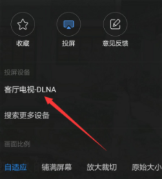 熊猫电视怎么投屏