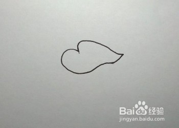 马蹄莲的简笔画（儿童简笔画教程）