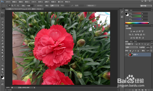 Photoshop选区工具怎么用？PS怎么使用选区工具