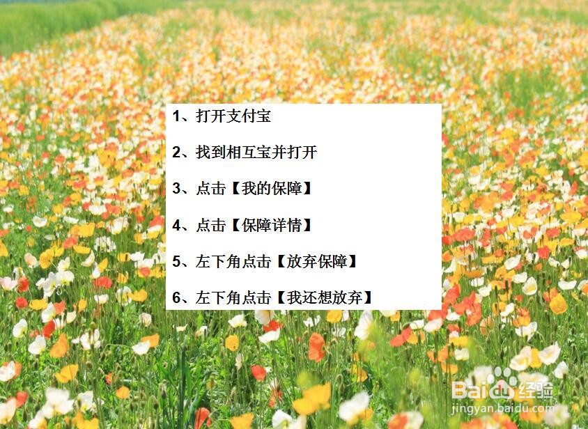 支付宝里面的相互宝怎么退出/取消？