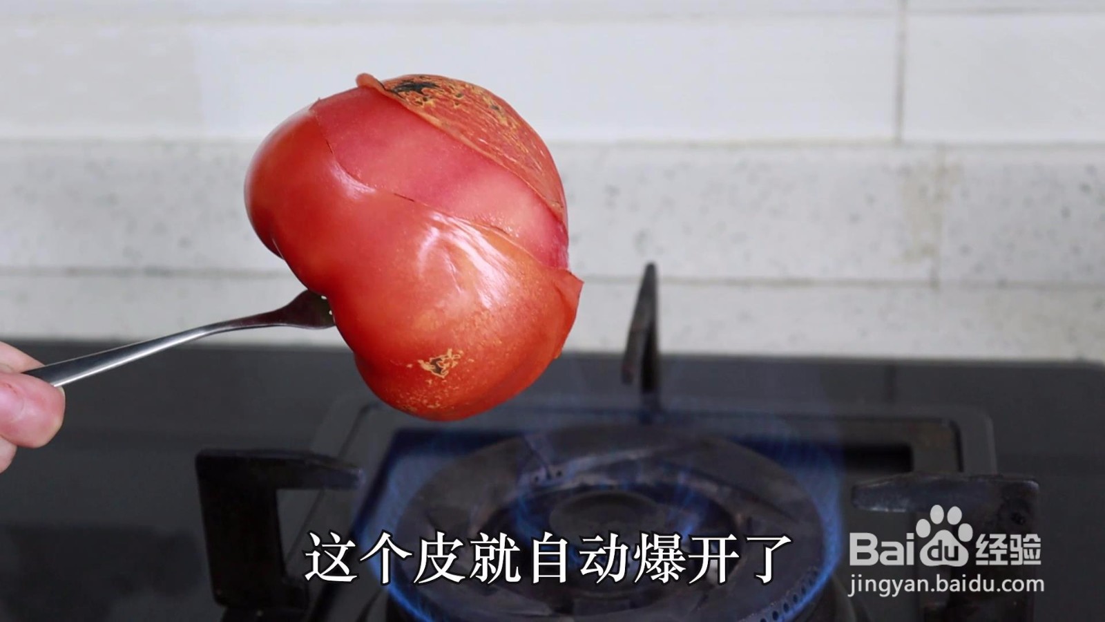 怎么给番茄剥皮？三种方法简单方便#招募令2.0#