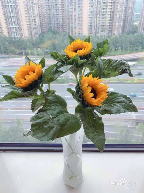 在室内拍花束怎么拍才好看呢