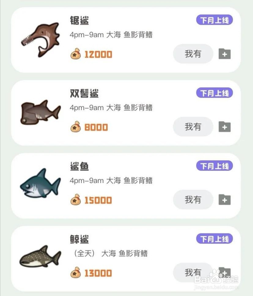 动森钓鲨鱼攻略