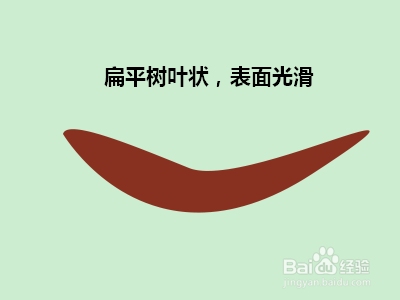 怎样根据大便及早发现健康隐患