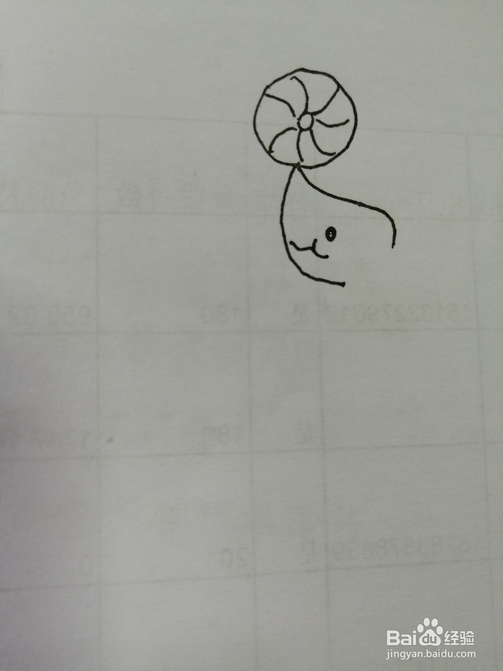 贪玩的可爱小海豹怎么画