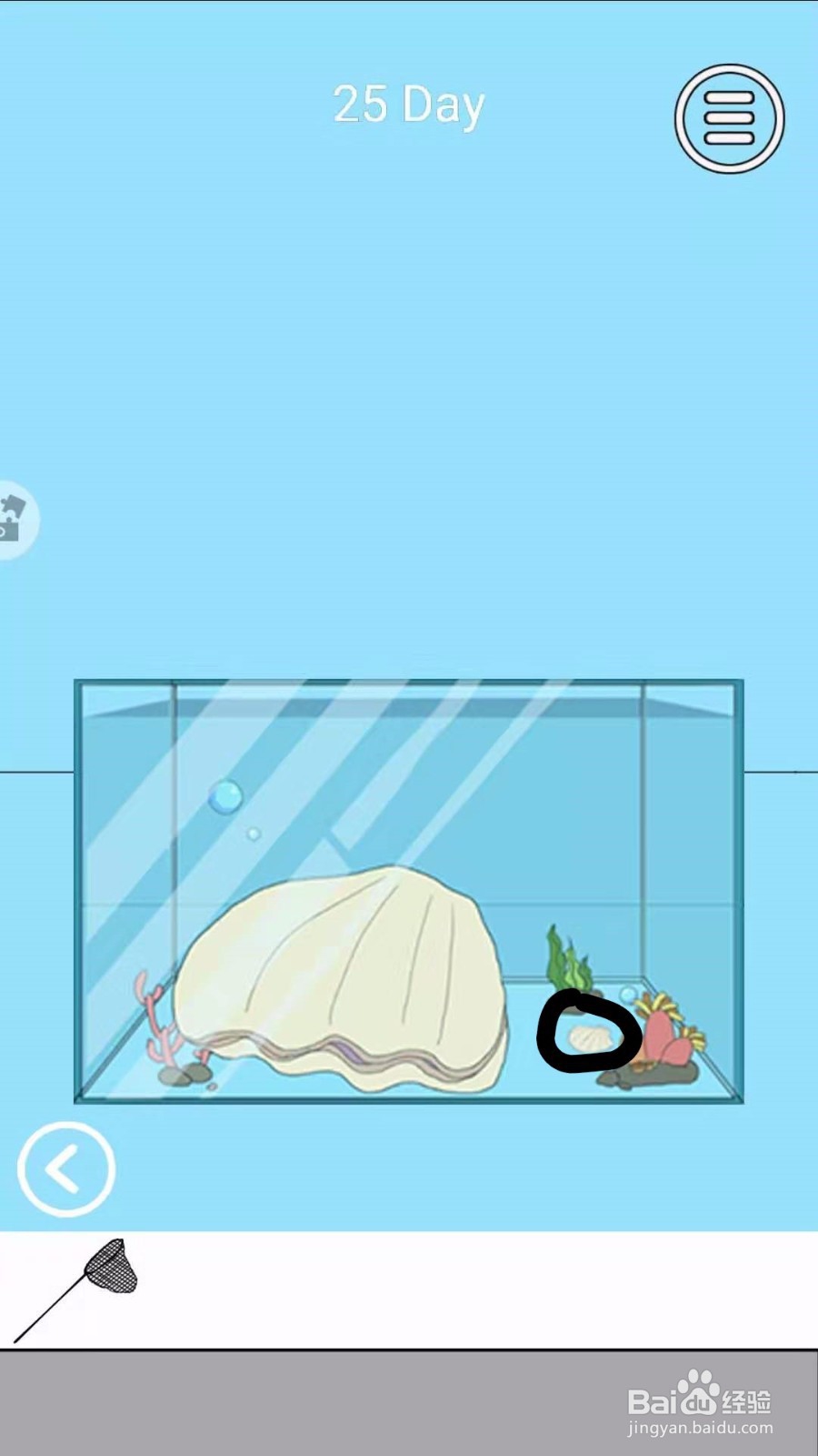 脑力大比拼：怎么快速通过第24-25关卡