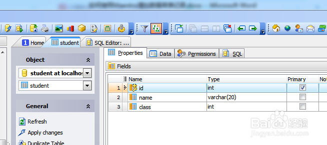 如何用Maestro导出表记录到EXCEL2010格式文件