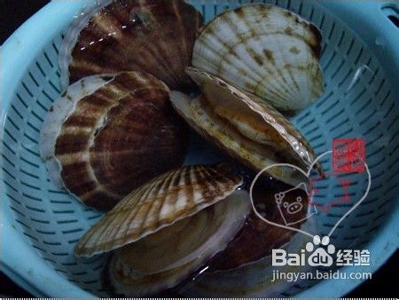家常海鲜新煮意~香煎扇贝