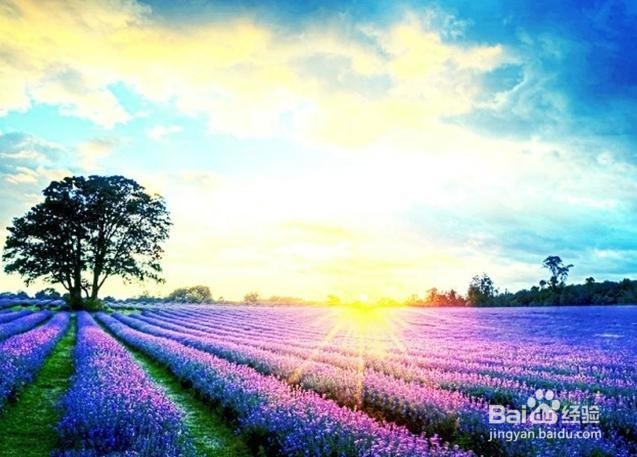 骨髓炎 能治好吗