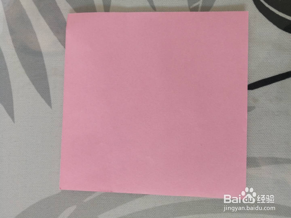 折纸——漂亮小鲤鱼的做法