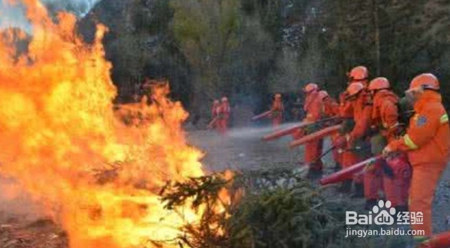 类似四川凉山木里县森林火灾应该如何救火？